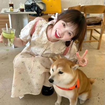 夏日重现